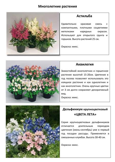 Многолетние растения 1