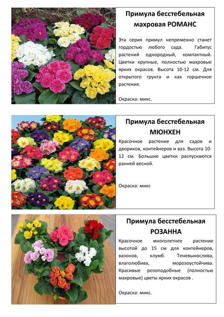 Многолетние растения 3