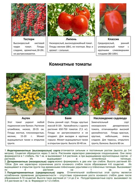 Овощные и пряные культуры 4