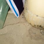 IMG 4264