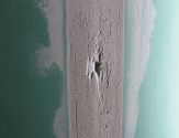 IMG 4293