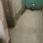 IMG 4478