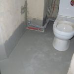 IMG 6173