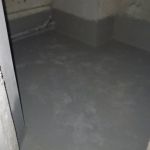 IMG 6174