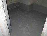 IMG 6174
