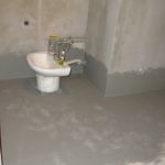 IMG 6176