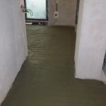 IMG 6186