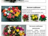 Цветы 4