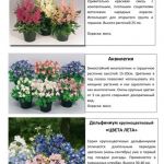 Многолетние растения 1