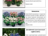 Многолетние растения 1